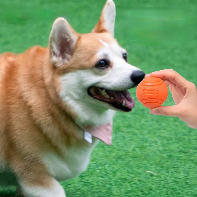 Steven Store™  Indestructible Dog Ball