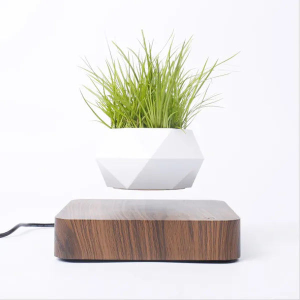 Steven Store™ Levitating Air Flower Pot - Modern design flower pot hovering in mid-air, ideal for displaying small plants or herbs.