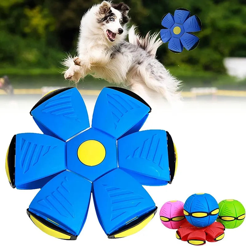 Steven Store™ Interactive Flying Saucer Ball Dog Toy: Durable and versatile toy for dogs