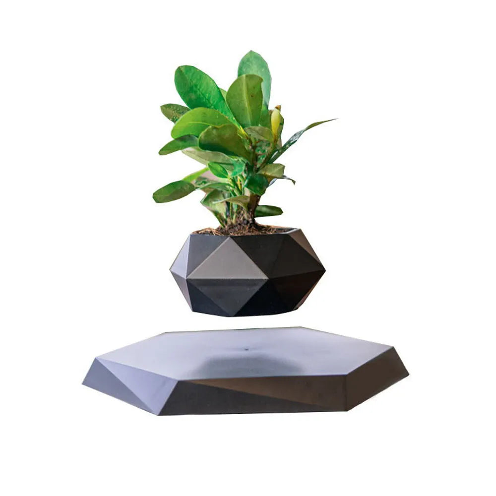 Steven Store™ Levitating Air Flower Pot - Modern design flower pot hovering in mid-air, ideal for displaying small plants or herbs.