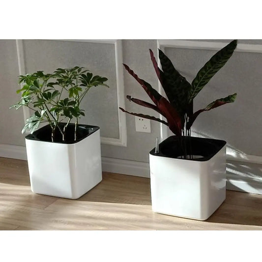 Steven Store™ Modern White Self-Watering Planter - Sleek white planter with a self-watering system, ideal for indoor and outdoor gardening.