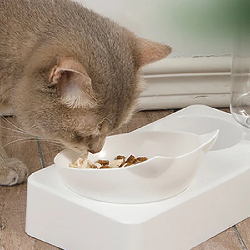 Steven Store™ 15-Degree Tilt Pet Bowl - Ergonomic pet bowl with 15-degree tilt for natural feeding posture.