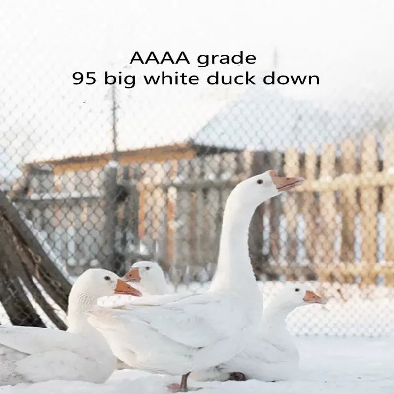 Cotton White Goose/Duck Down Duvet